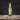 Birra Peroni
