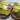 C. TUNA, FRESH CHEESE AND AVOCADO