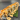 CARIBEÑO ROLL