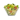Mediterranean Salad