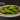 EDAMAME CON SAL DE MENORCA