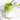 Iced Matcha Latte