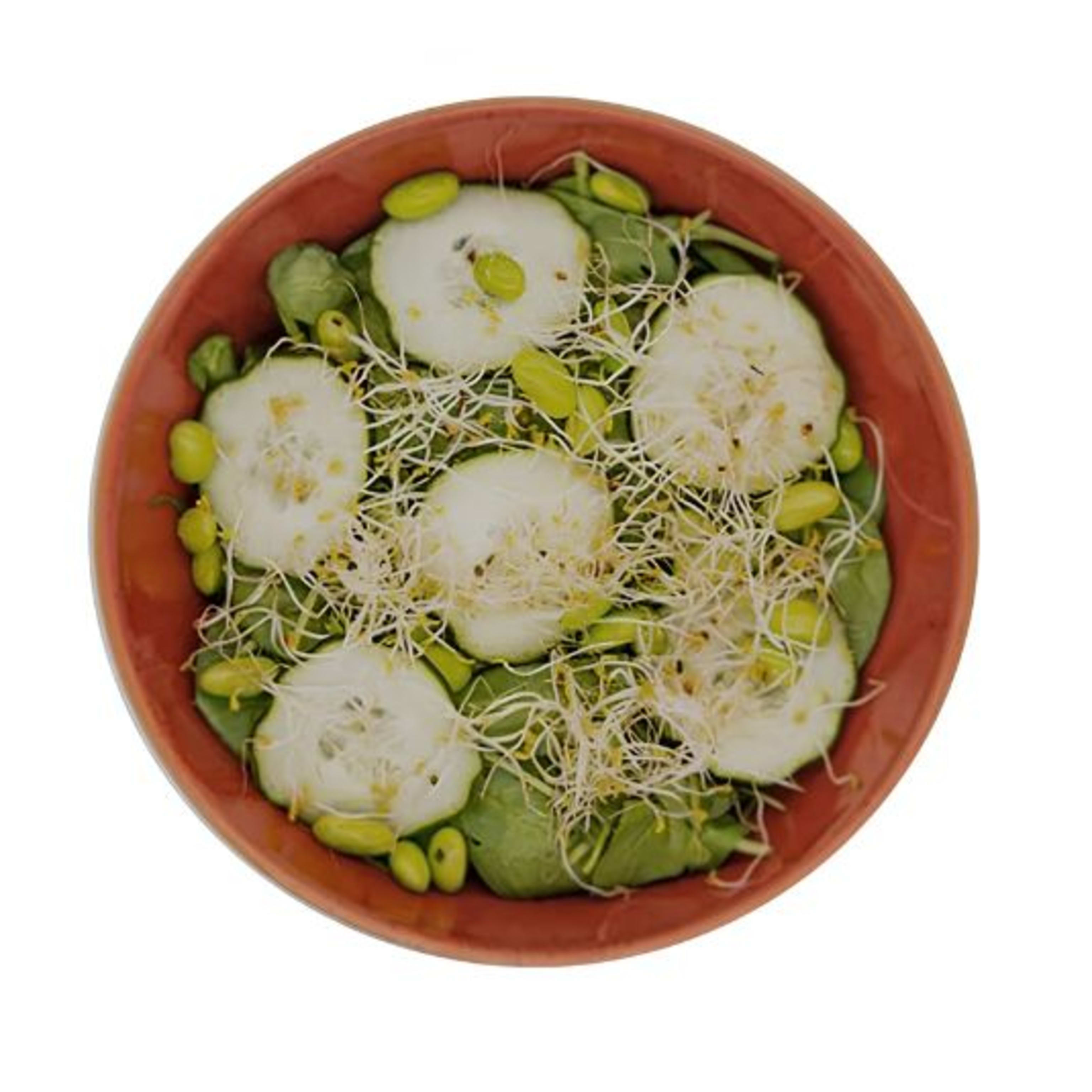 ENSALADA ALL GREEN (CATERING)