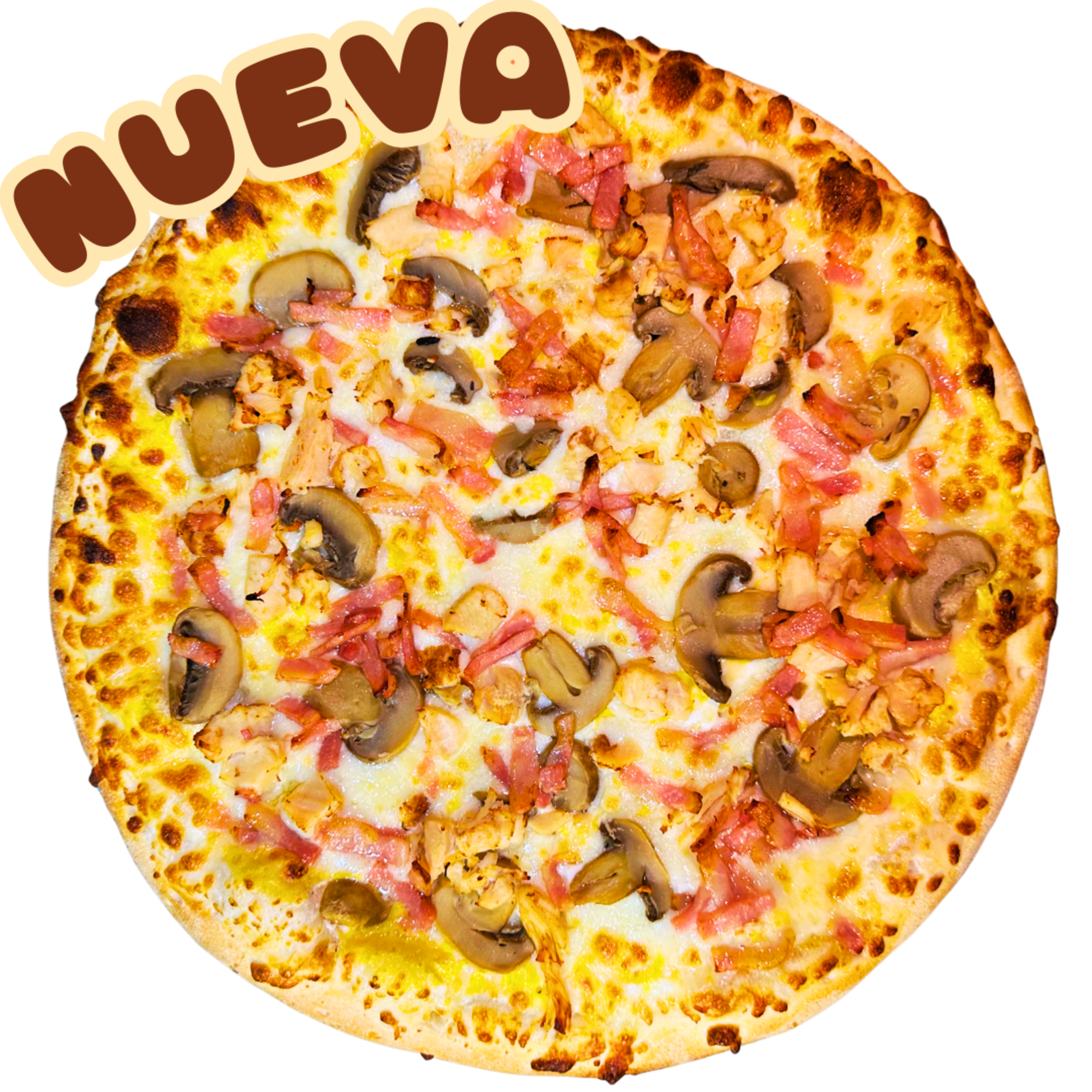 CHEDDAR GOLD M (nueva)