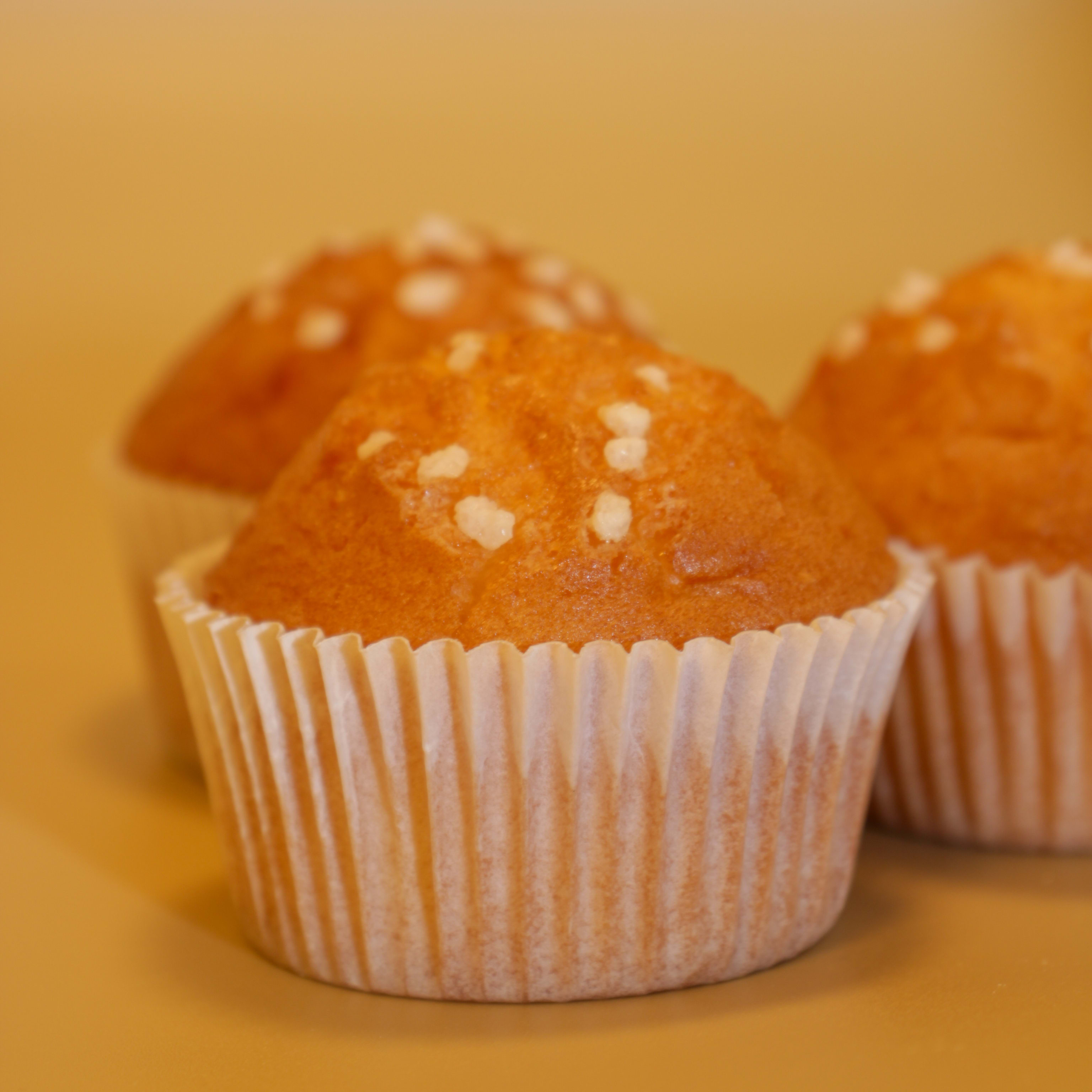 MADALENA /MUFFIN 5un