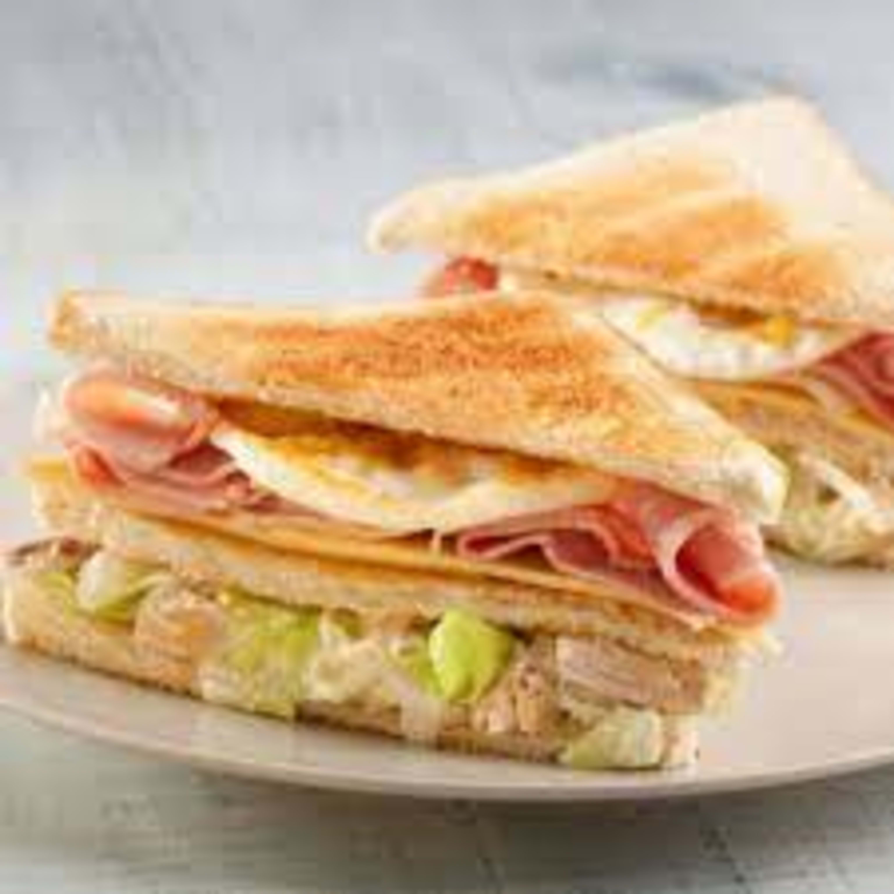 Sandwich Especial