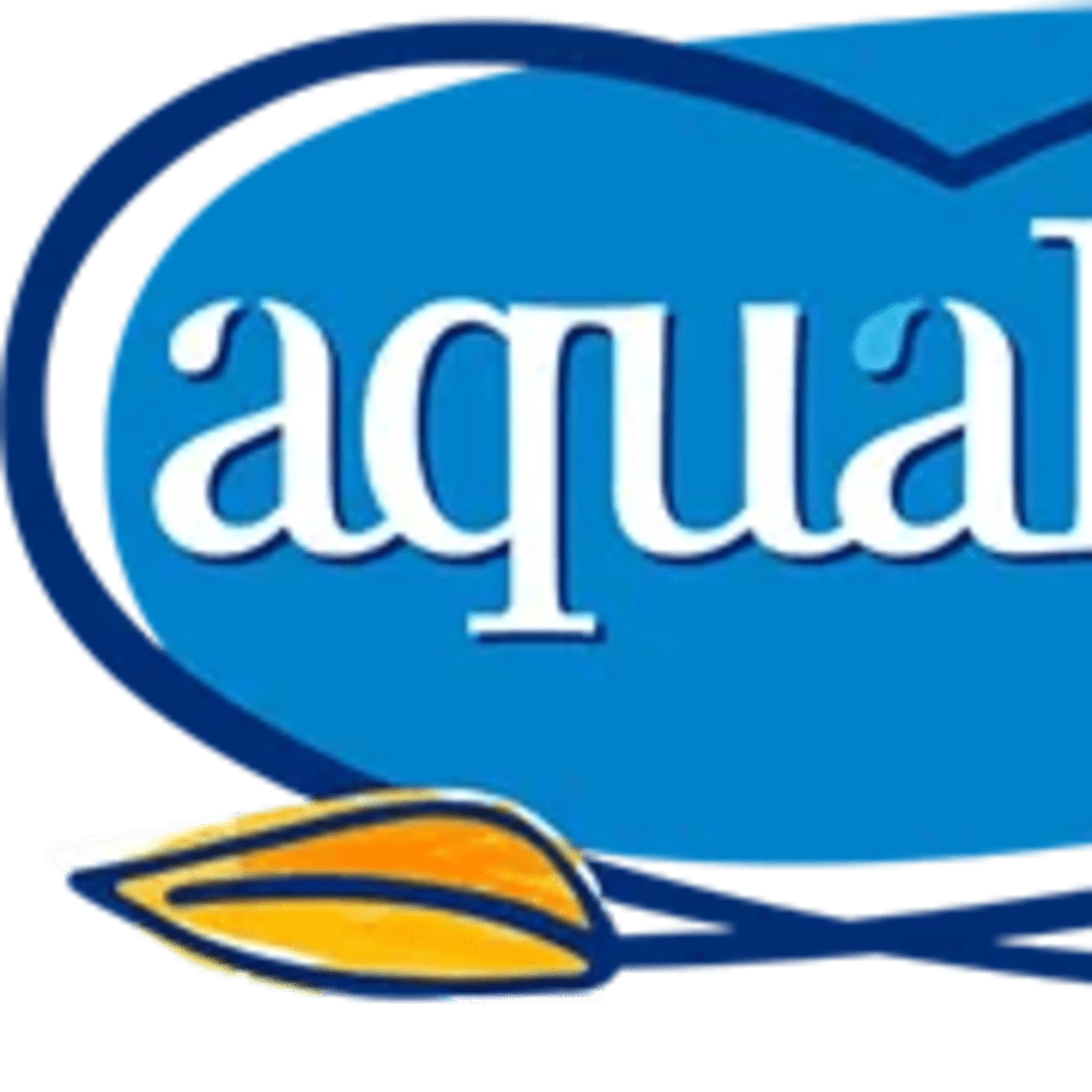 Agua 500ml PET