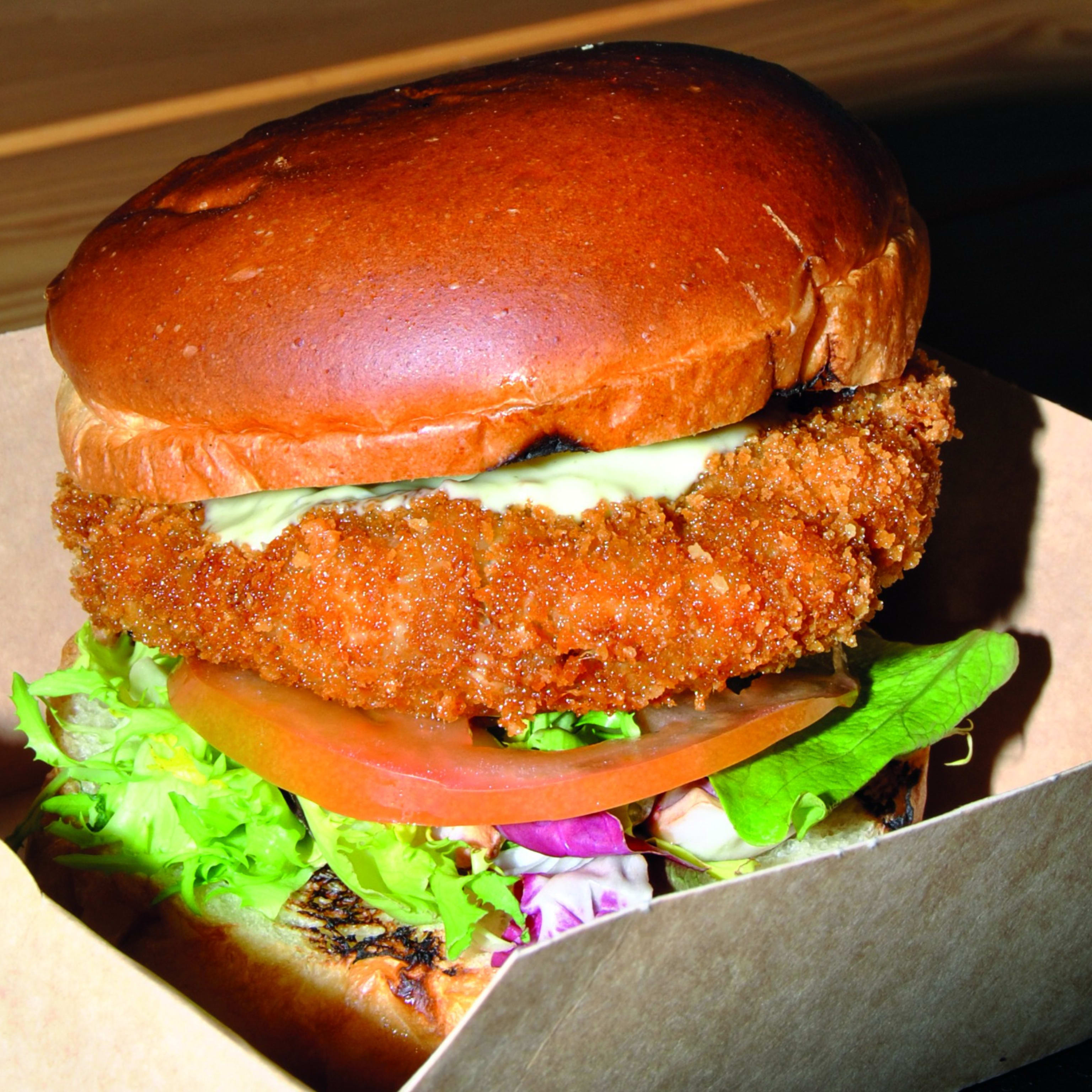 BGD- Burguer senzilla Pollosa (delivery)