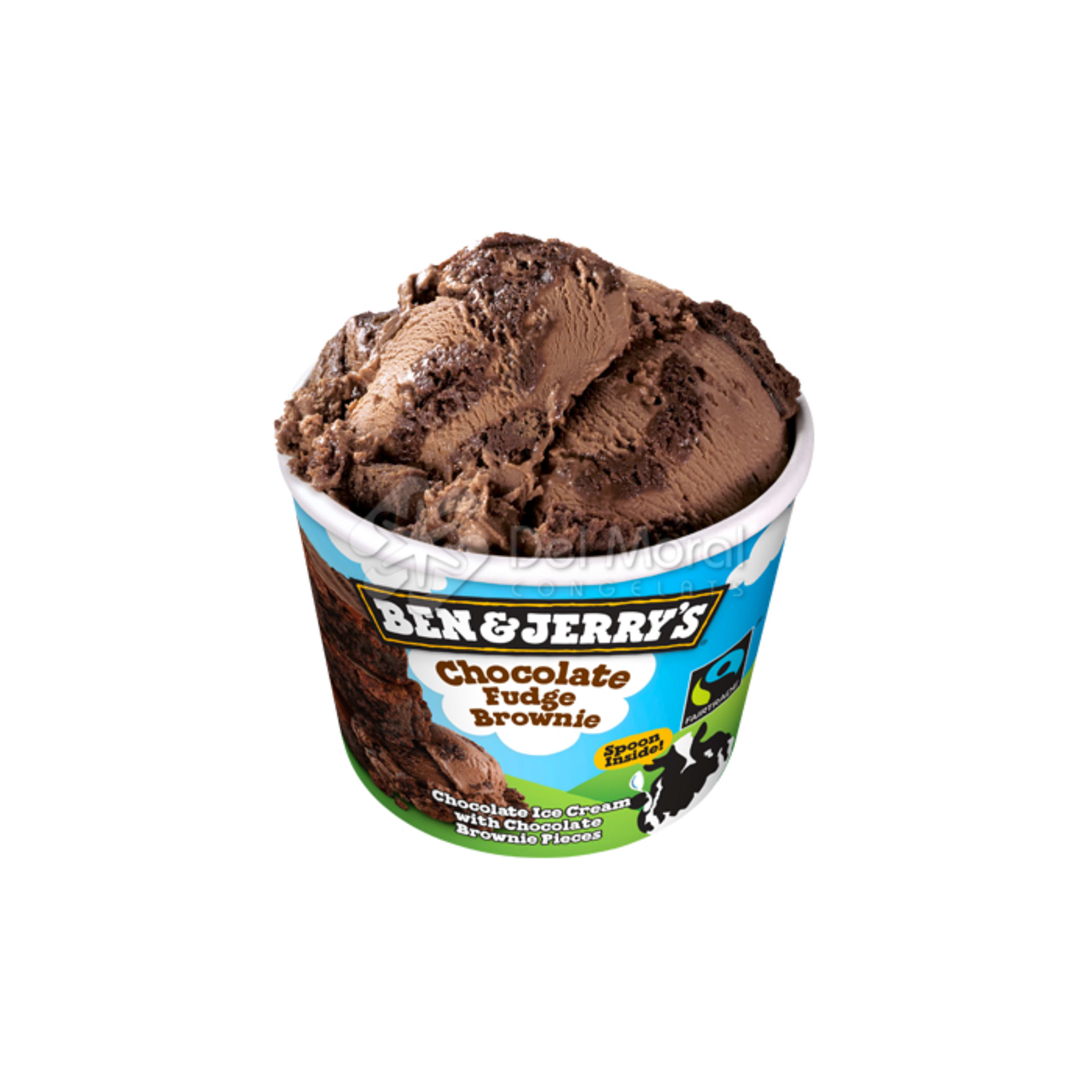BEN & JERRY´S CHOCOLATE FUDGE BROWNIE