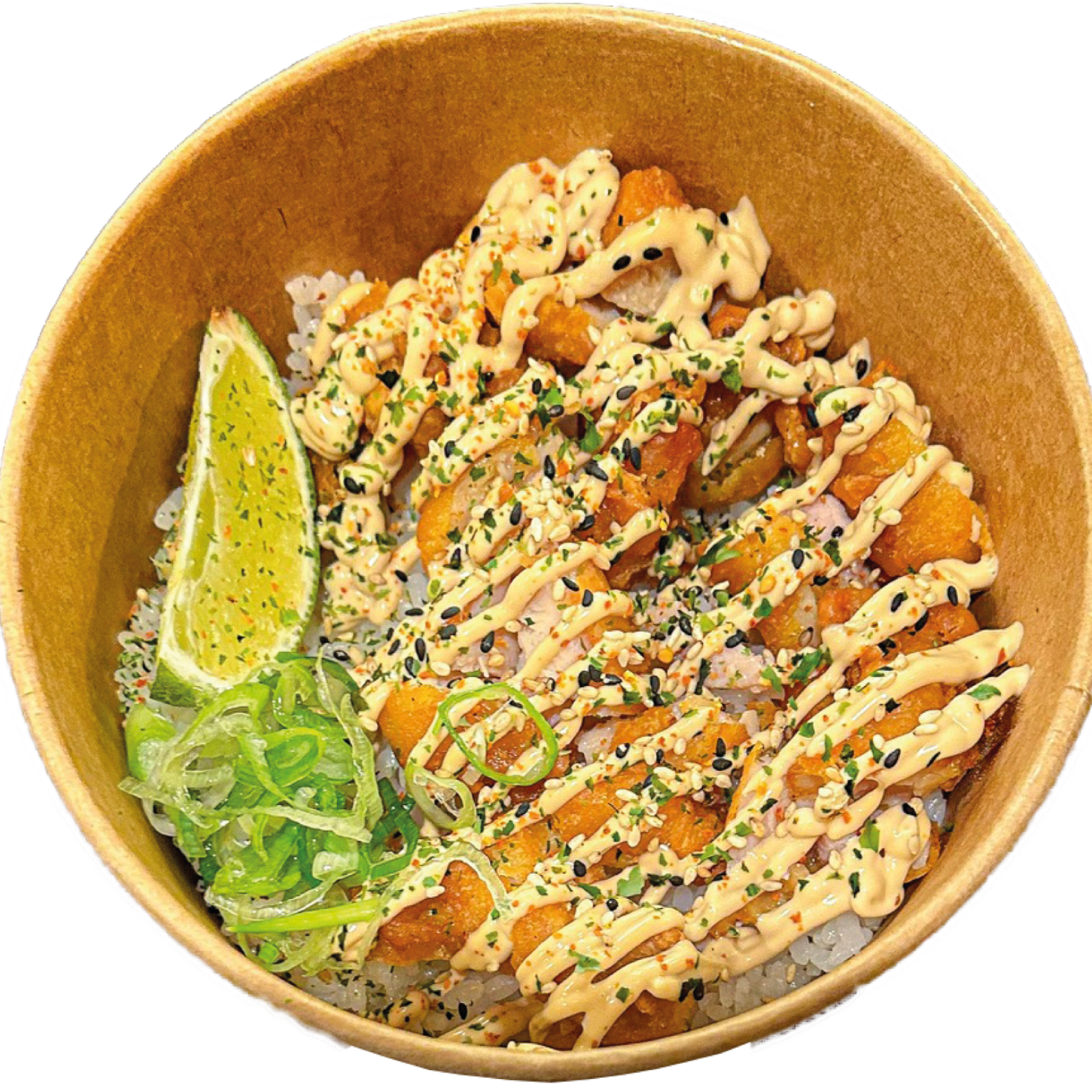 Fujibowl de Pollastre Karaage