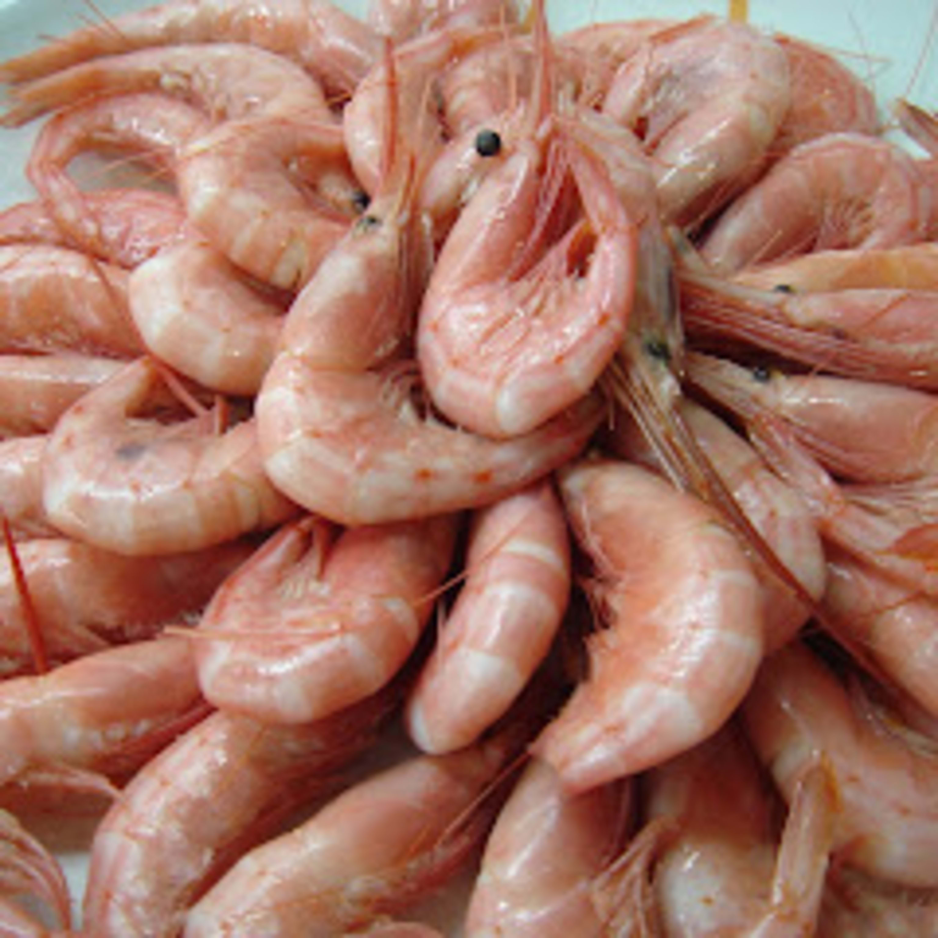 QUISQUILLAS RECIEN COCIDA(100GR)