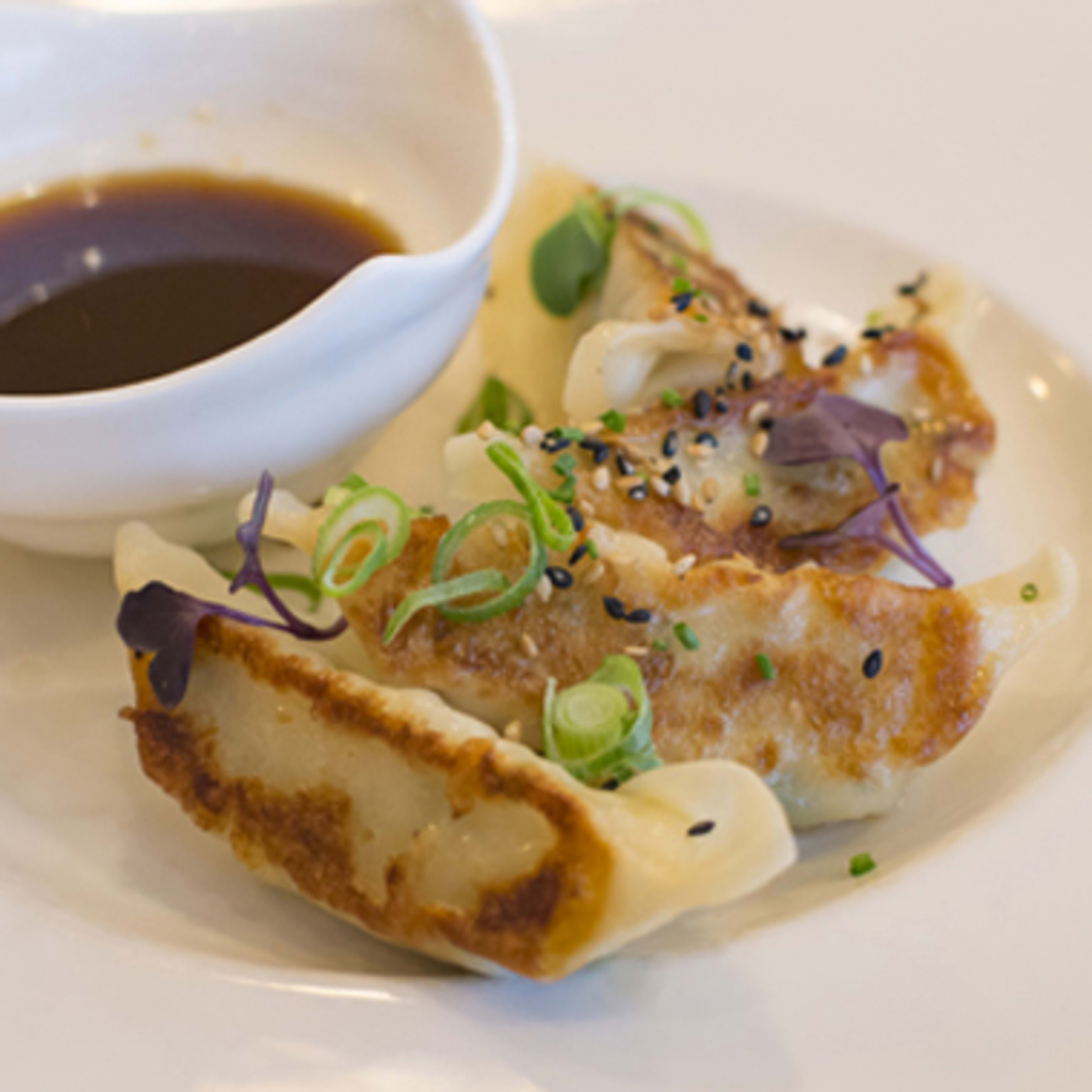 Gyozas de pollo y verduras con salsa de cebolleta tostada, 4 unidades