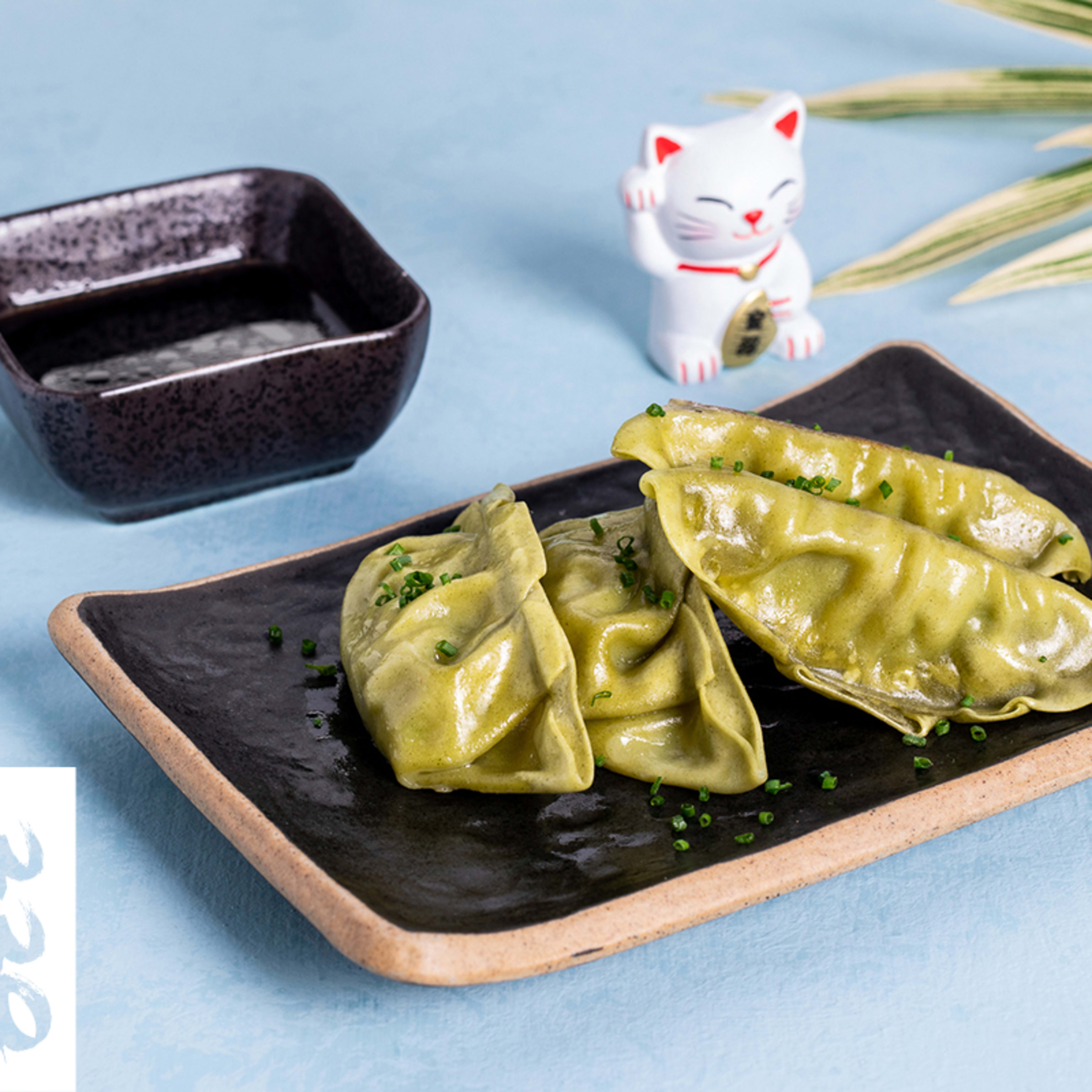 Gyozas Verduras