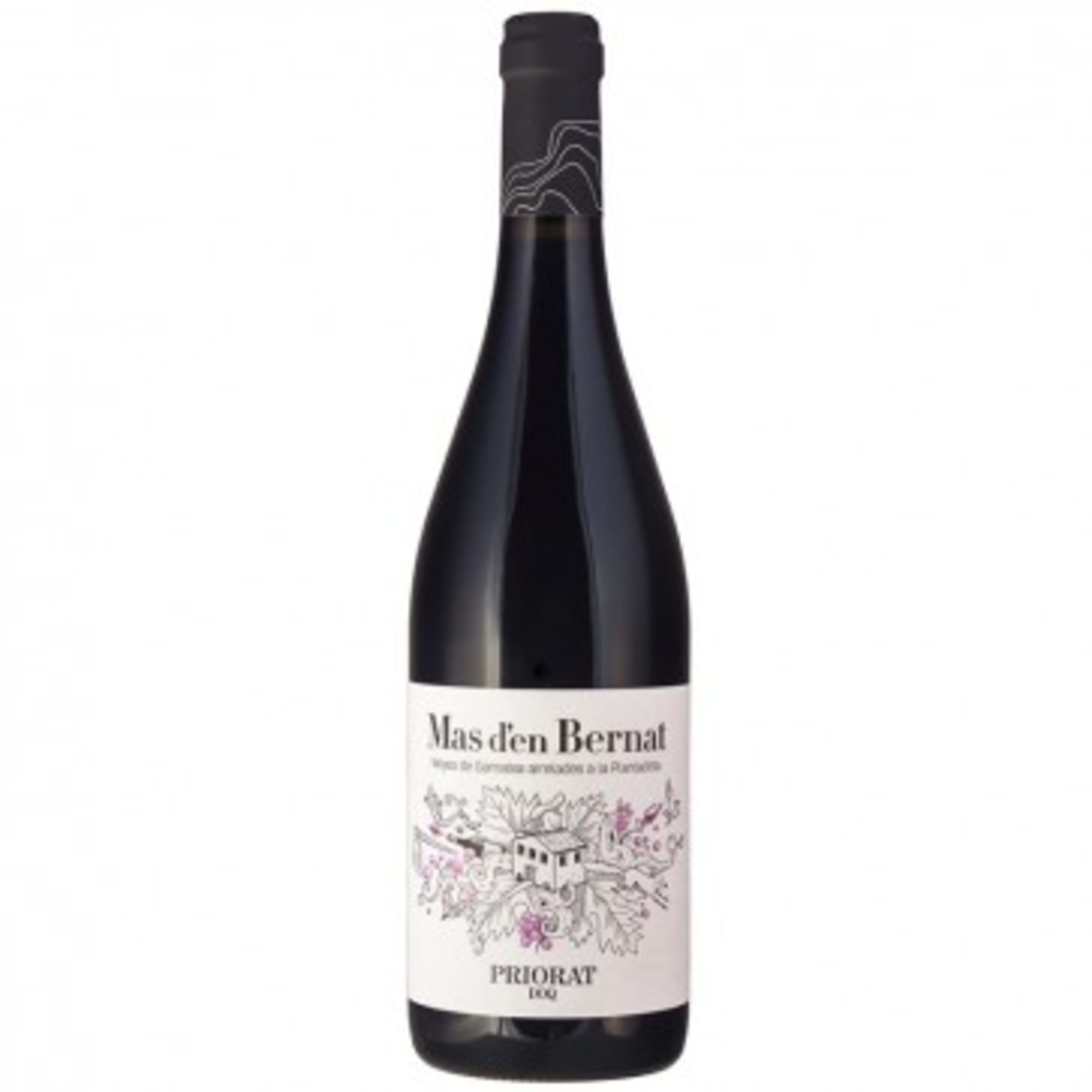 Mas d'en Bernat Negre