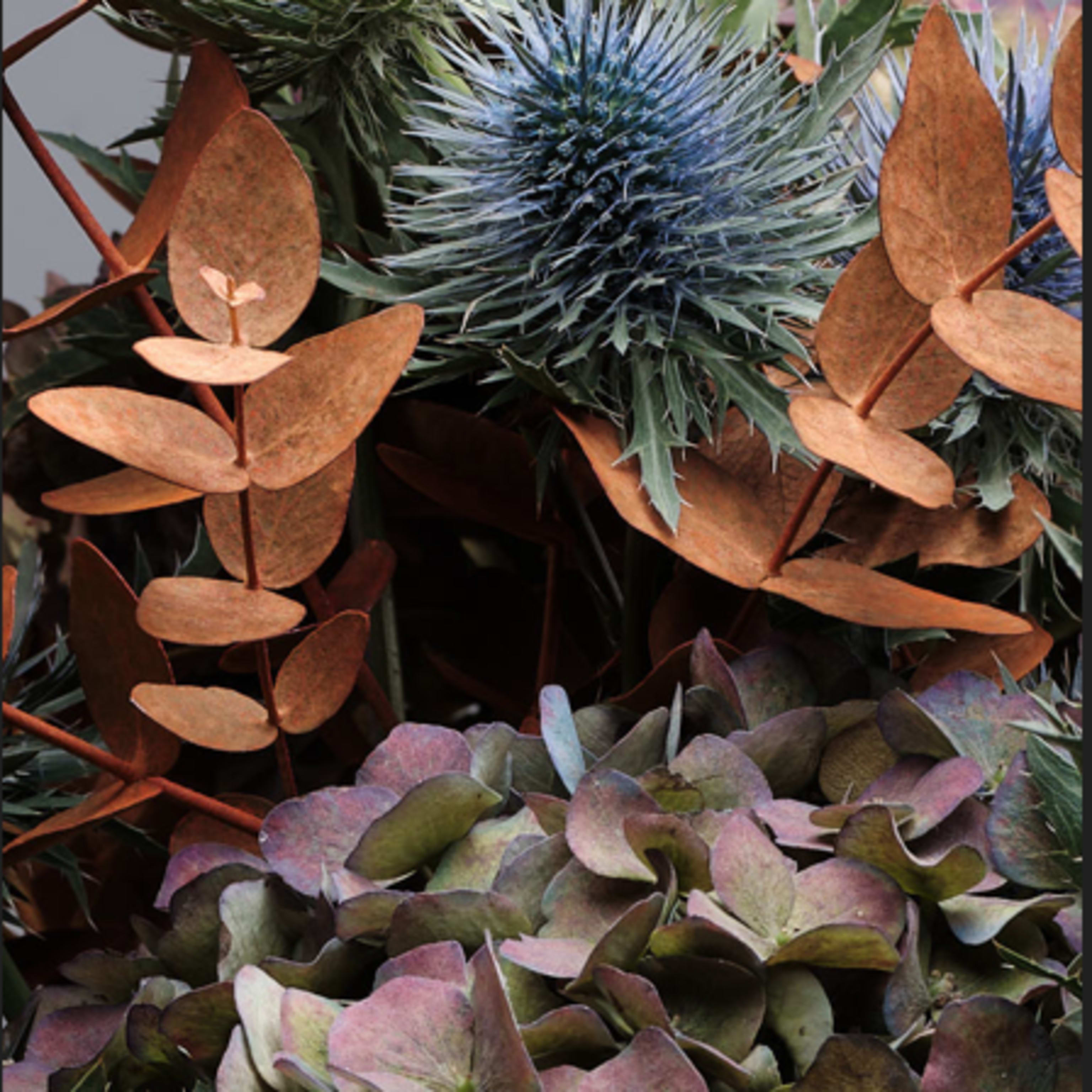 Blaus, marrons i coures