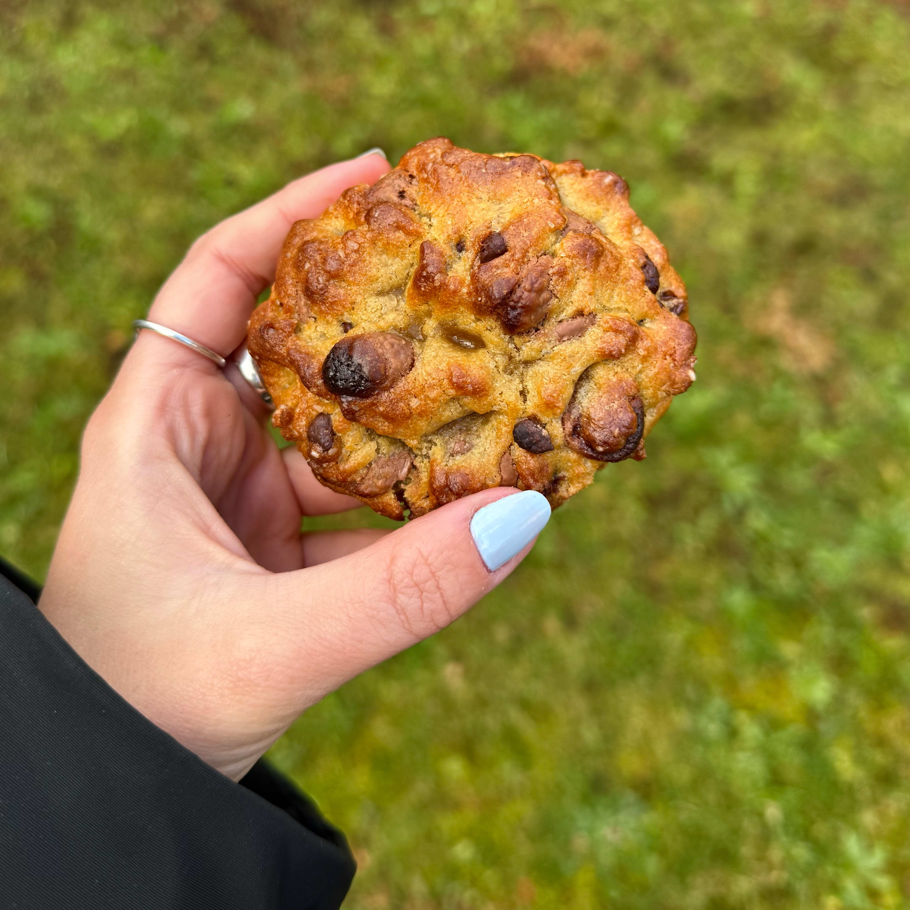 COOKIE BASIC