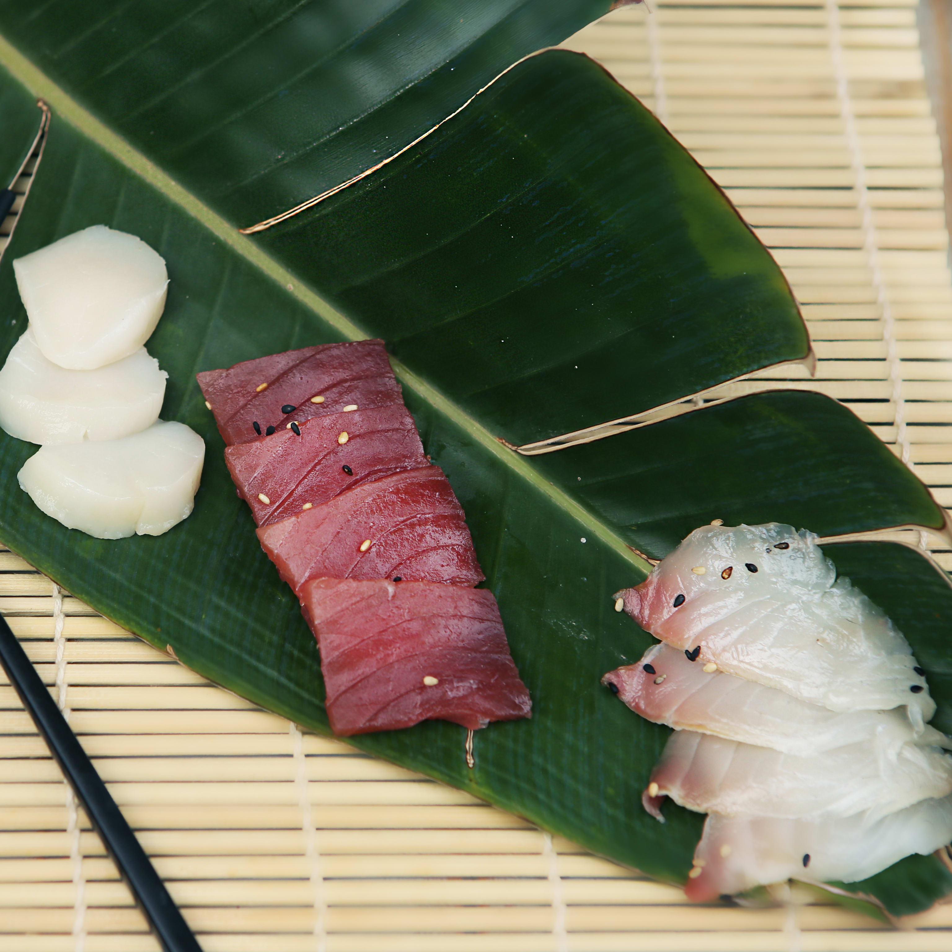 SASHIMI VIEIRA (5 PZS) D