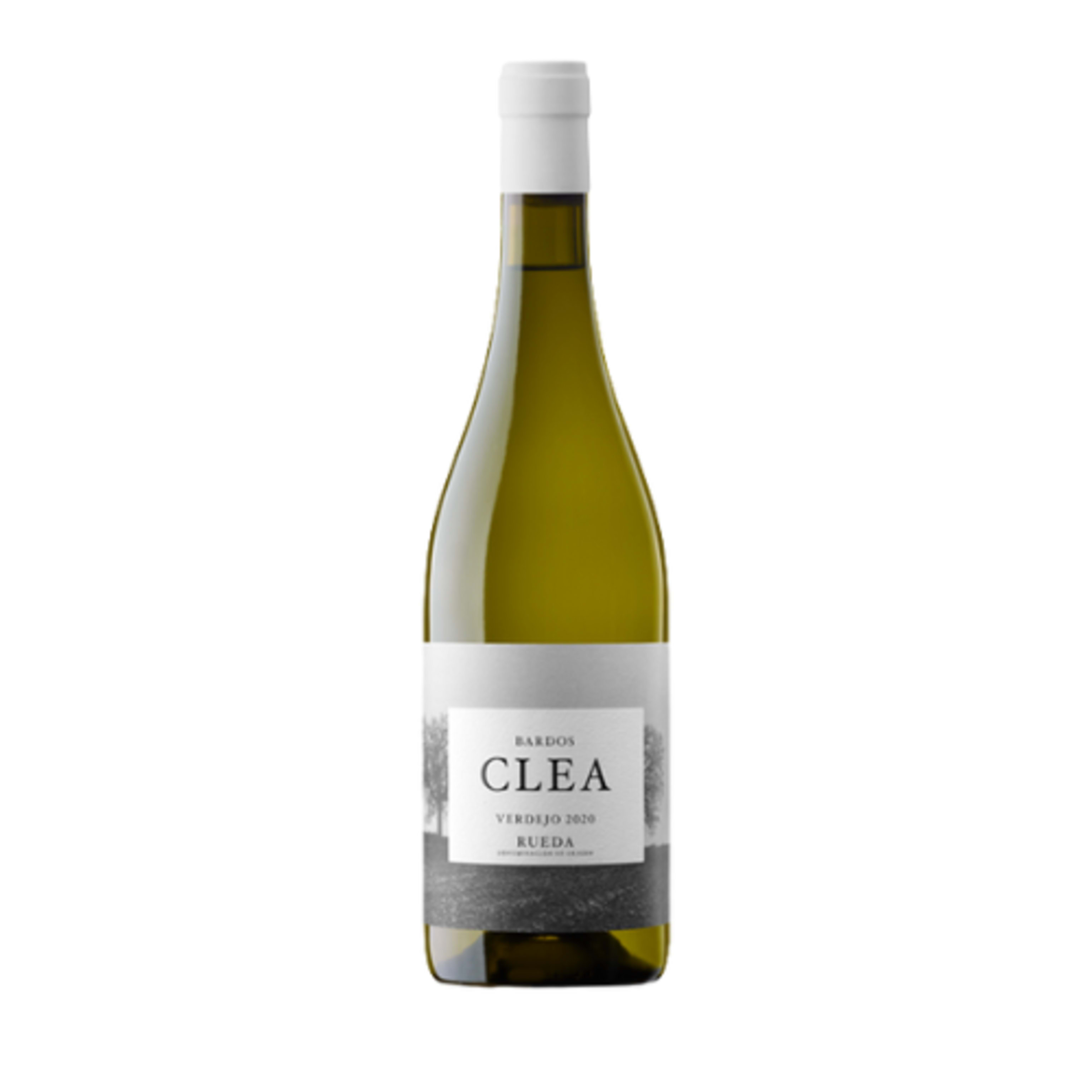 CLEA VERDEJO BY BARDOS