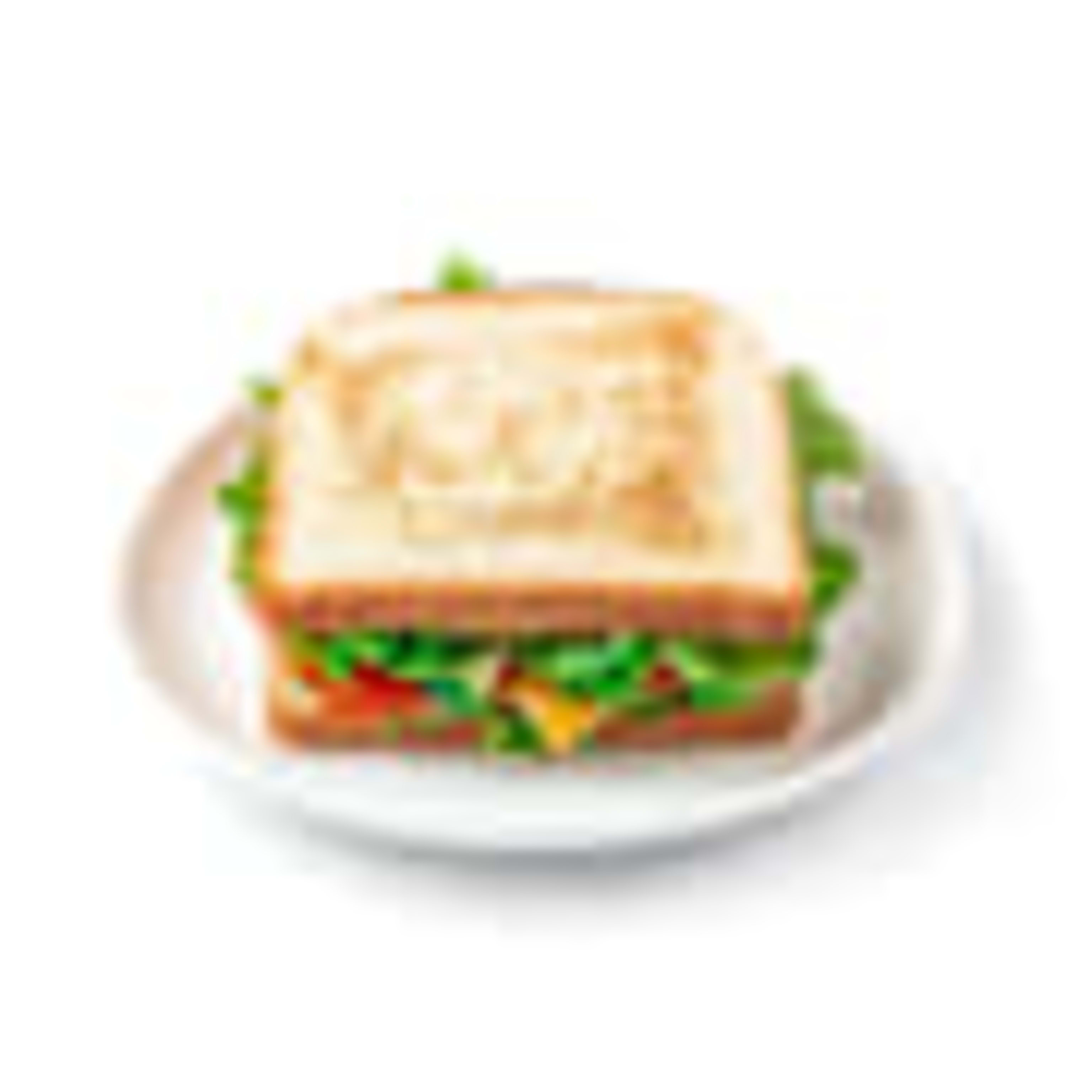 Sandwich Vegetal Nº 2
