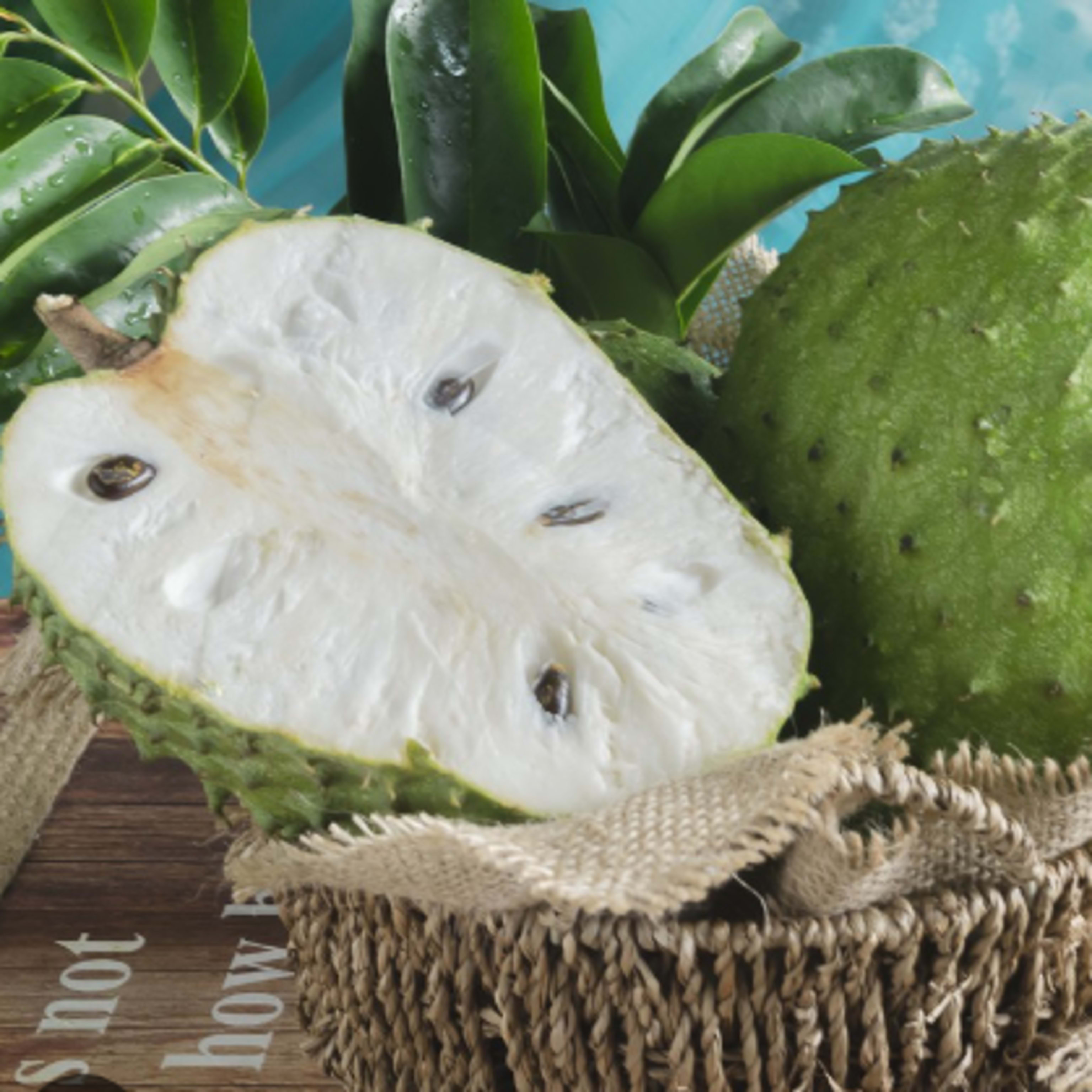 Zumo de Guanabana 500ml
