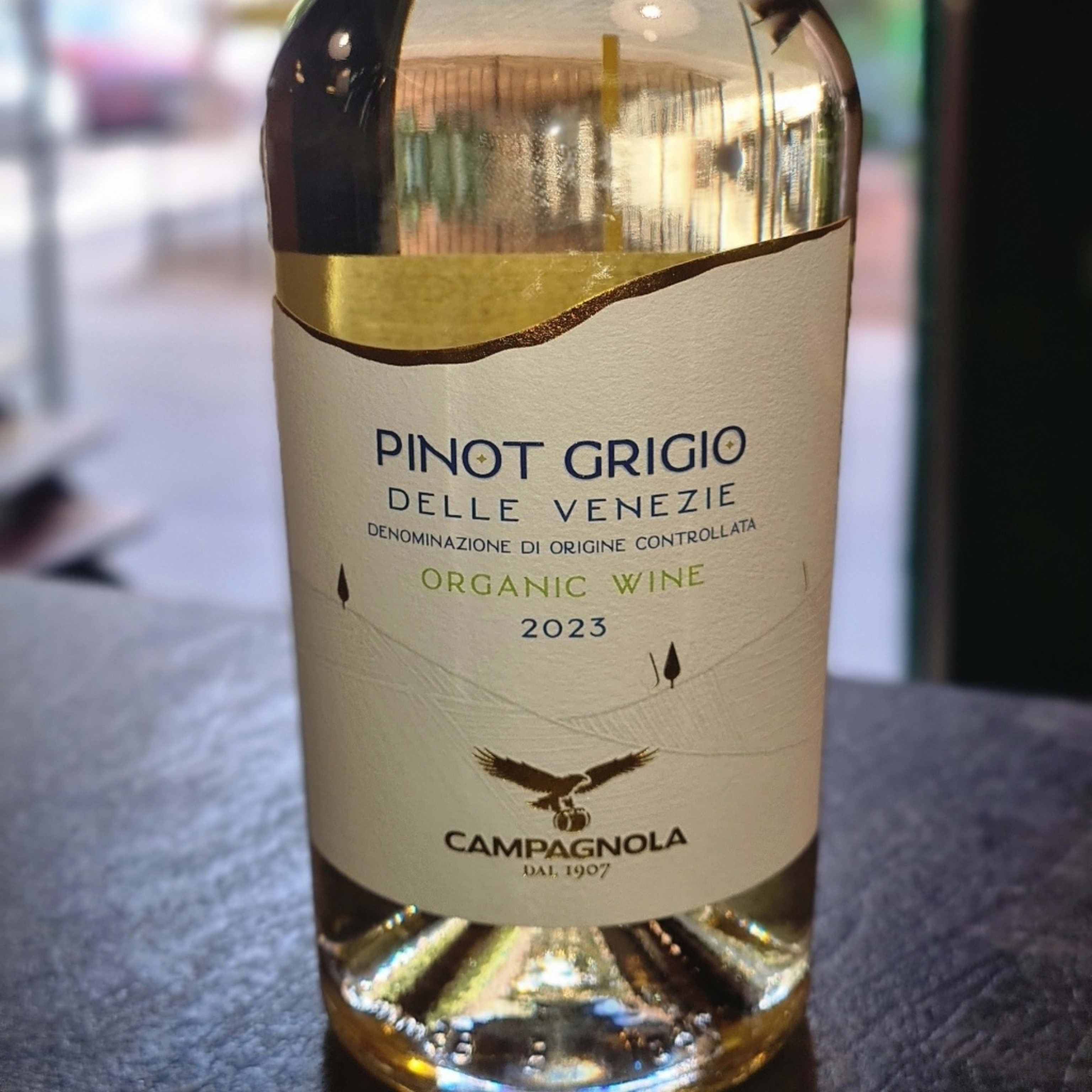 Pinot Grigio - Delle Venezie BIO (Glass) (copy)