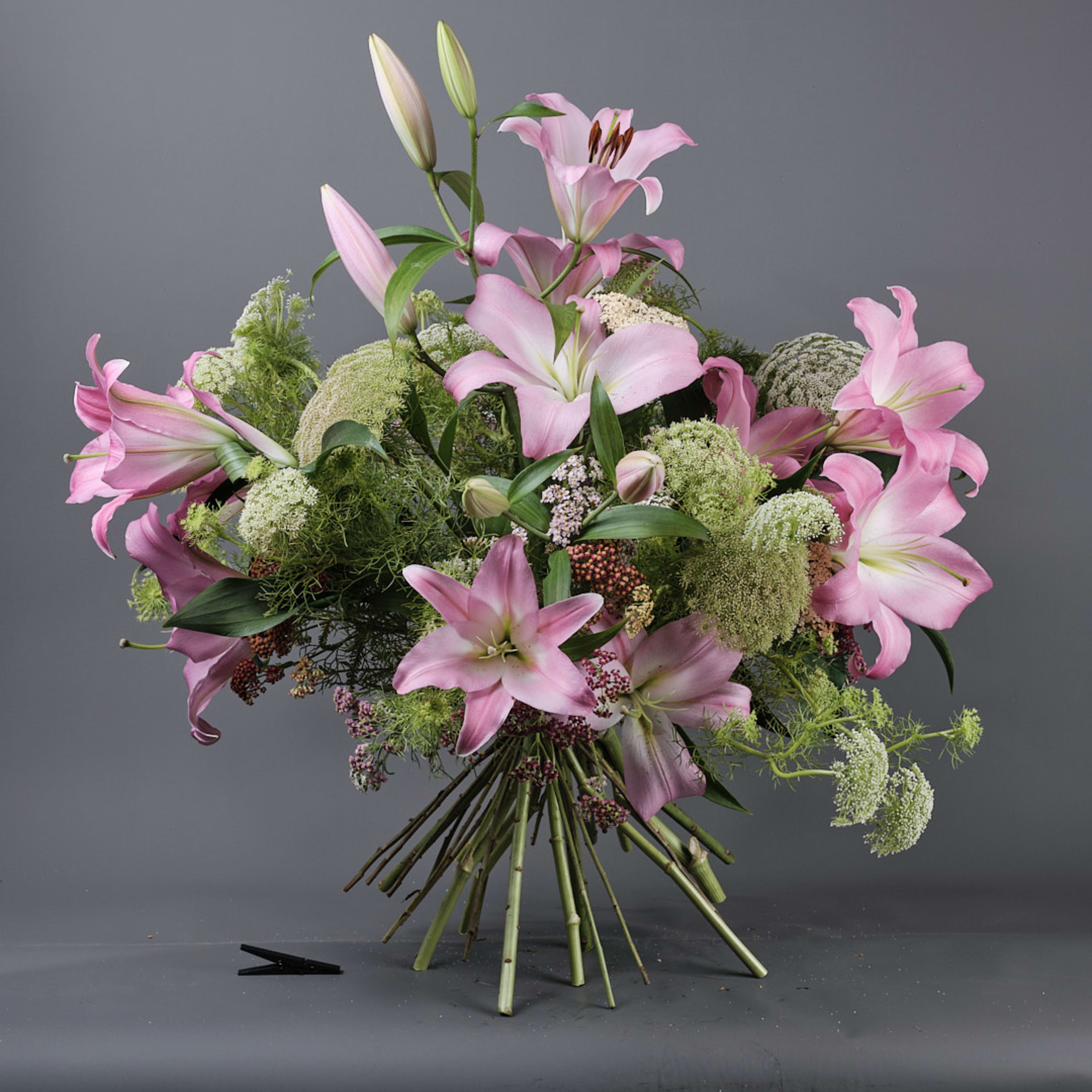 Lilium i Ammis