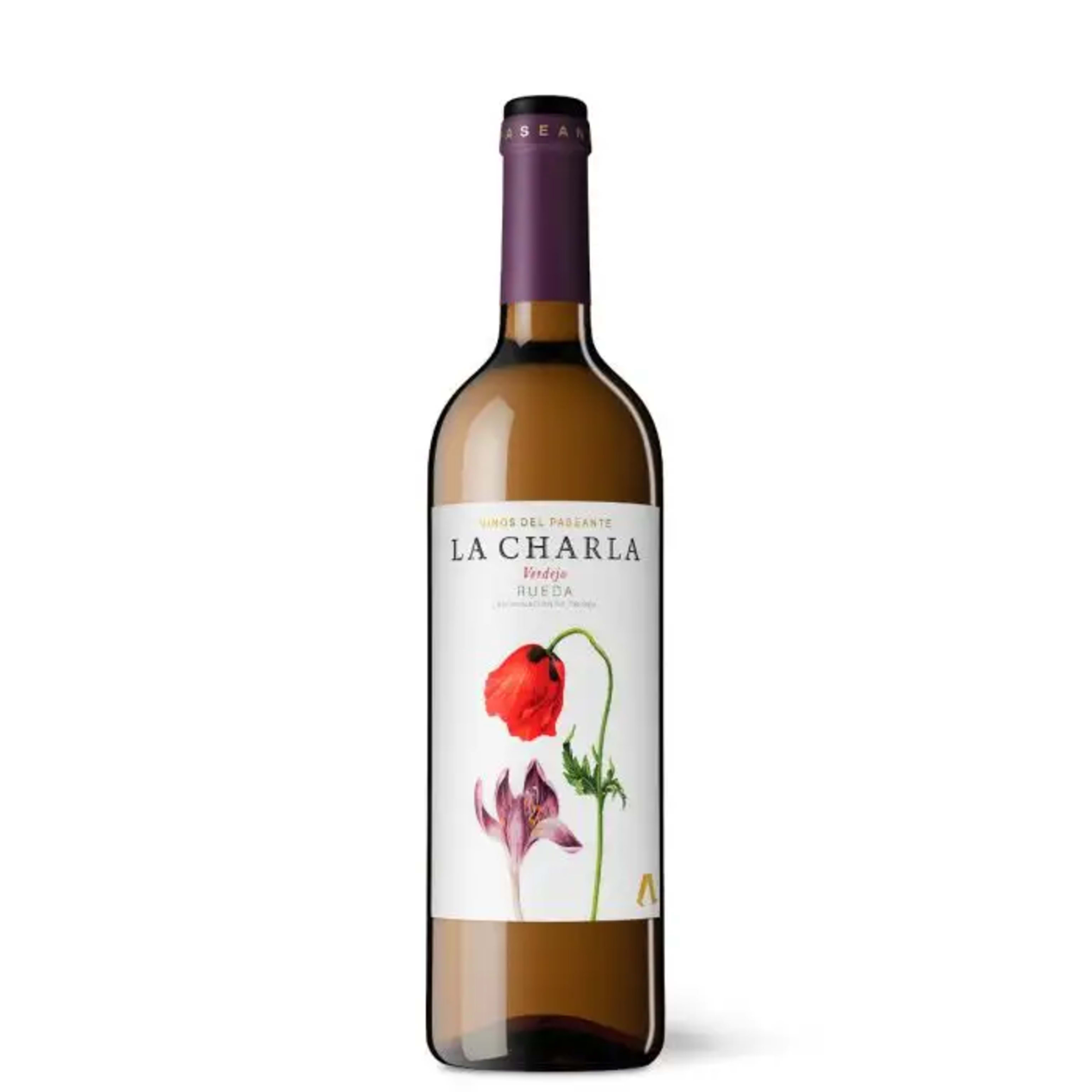 Botella Verdejo - La charla