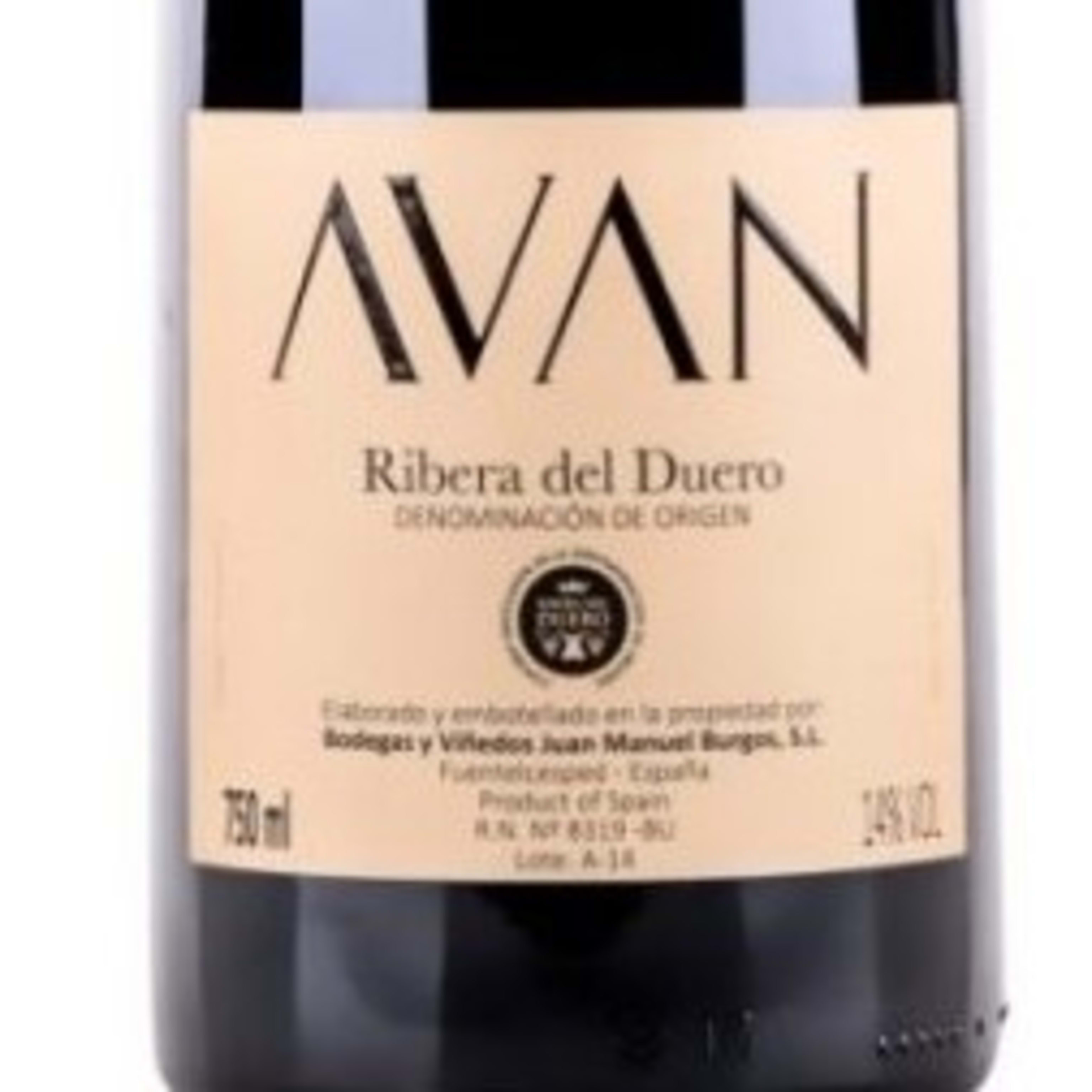 Tempranillo 'Avan Roble' 12 meses