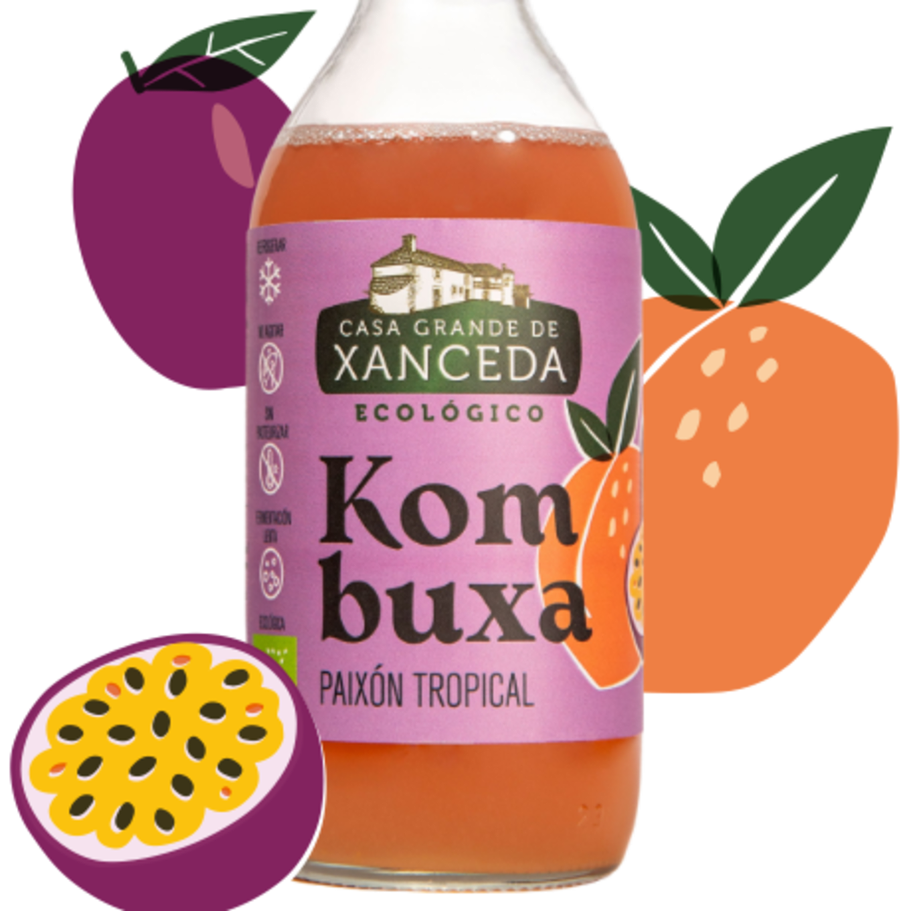 KOMBUCHA 3 -PASIÓN TRPICAL