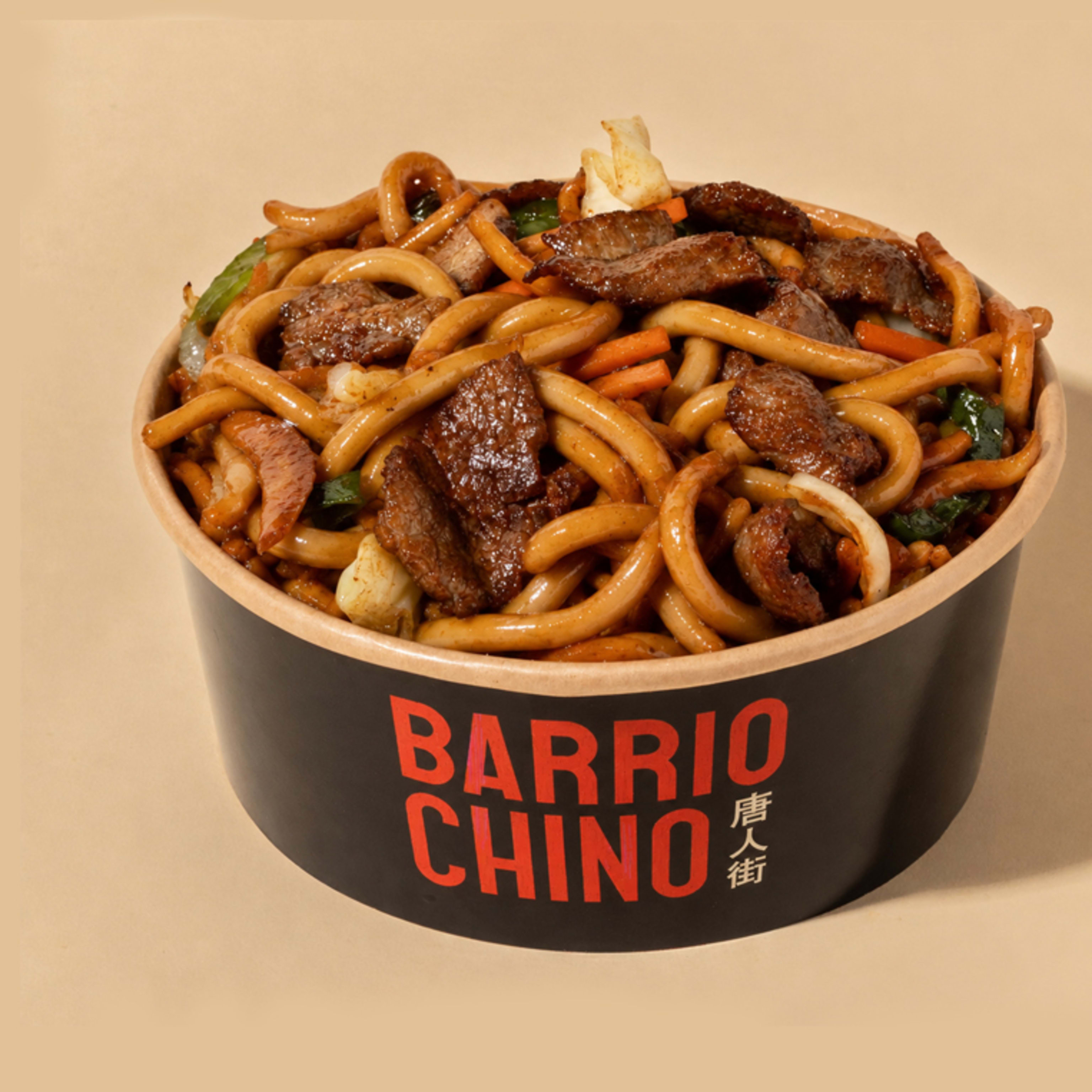 UDON NOODLES