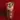 Shawarma Kibbeh