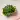 algas wakame