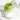 Iced Matcha Latte