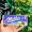 CHOCOLATINA MILKA OREO WHITE