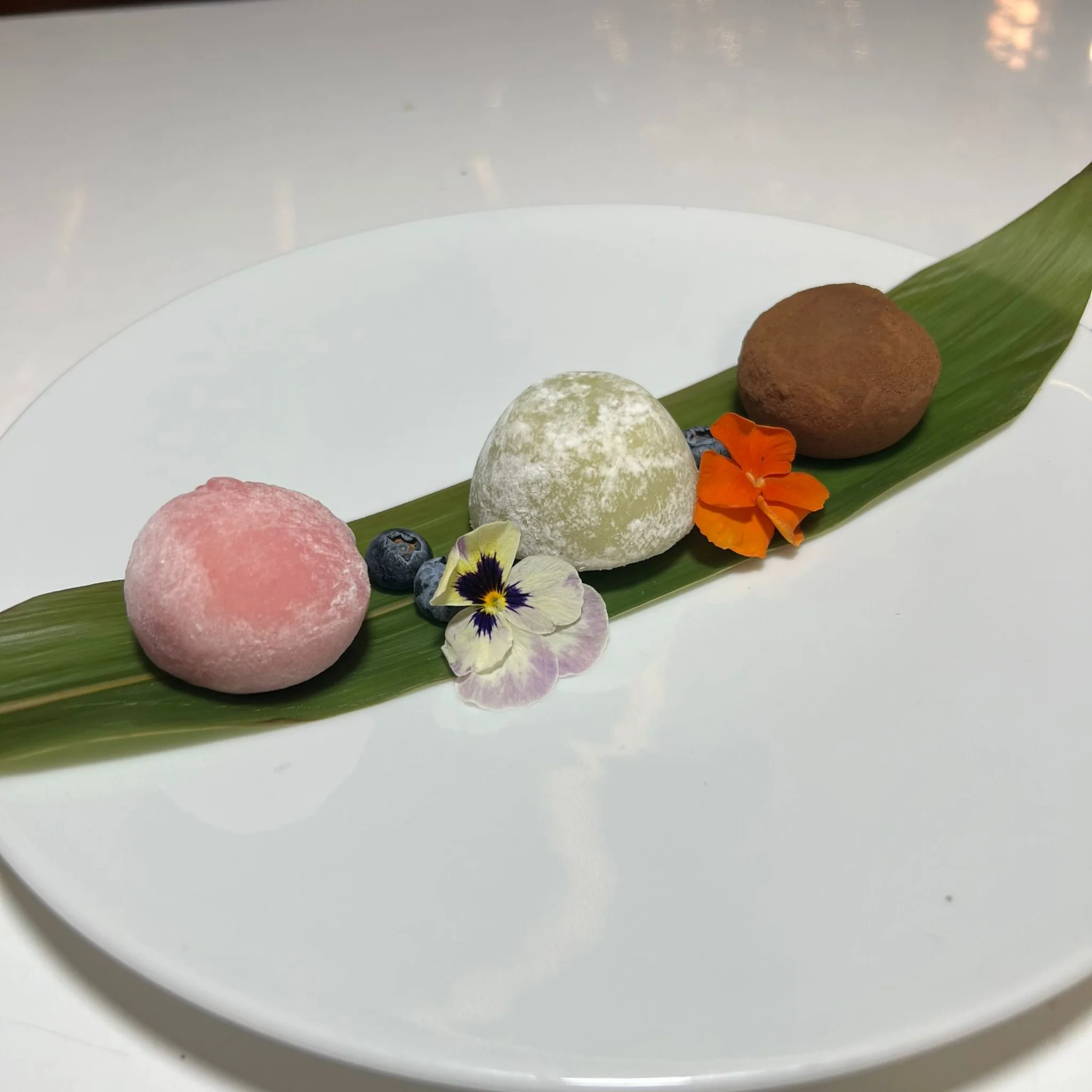 MOCHI MIXTO (3 UND) D