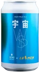 商品写真：宇宙WISP
