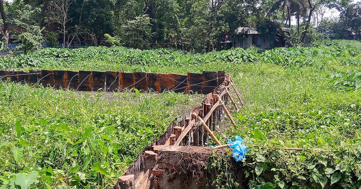 ঝালকাঠি পৌরসভার অনুমতি ছাড়াই ট্রাকস্ট্যান্ড নির্মাণ
