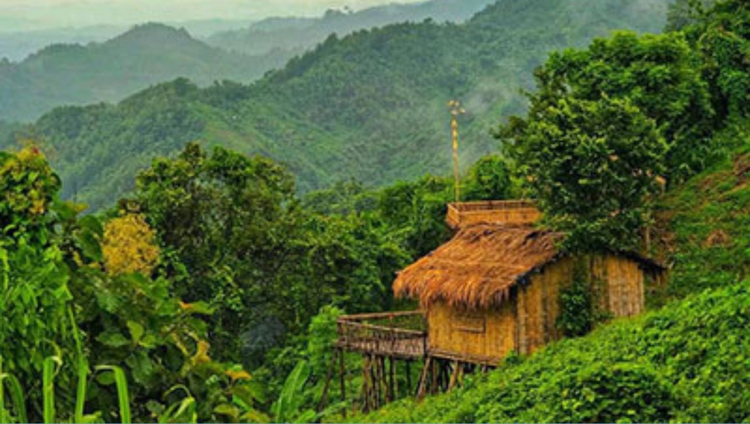বান্দরবানে ৬ জন রাবার শ্রমিককে অপহরণের অভিযোগ