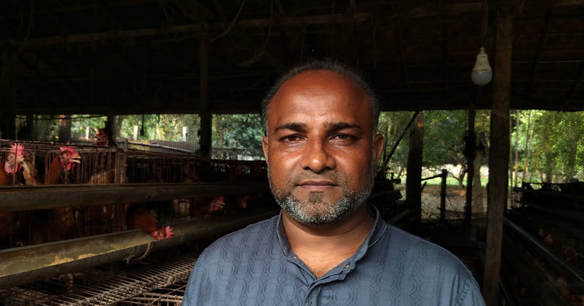 বিদ্যুৎ সংকটে পোলট্রিশিল্পের মুখে মৃত্যু