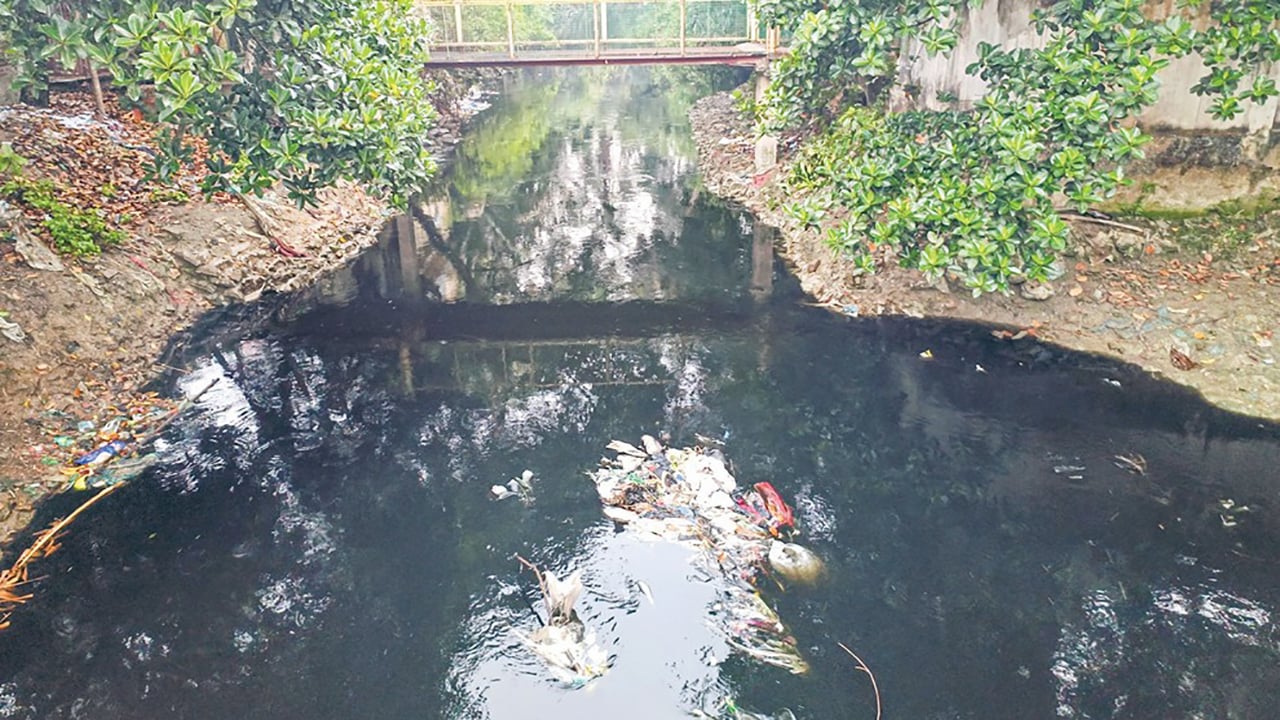 হালদা নদী দূষিত হচ্ছে শিল্পকারখানার বিষাক্ত বর্জ্যে