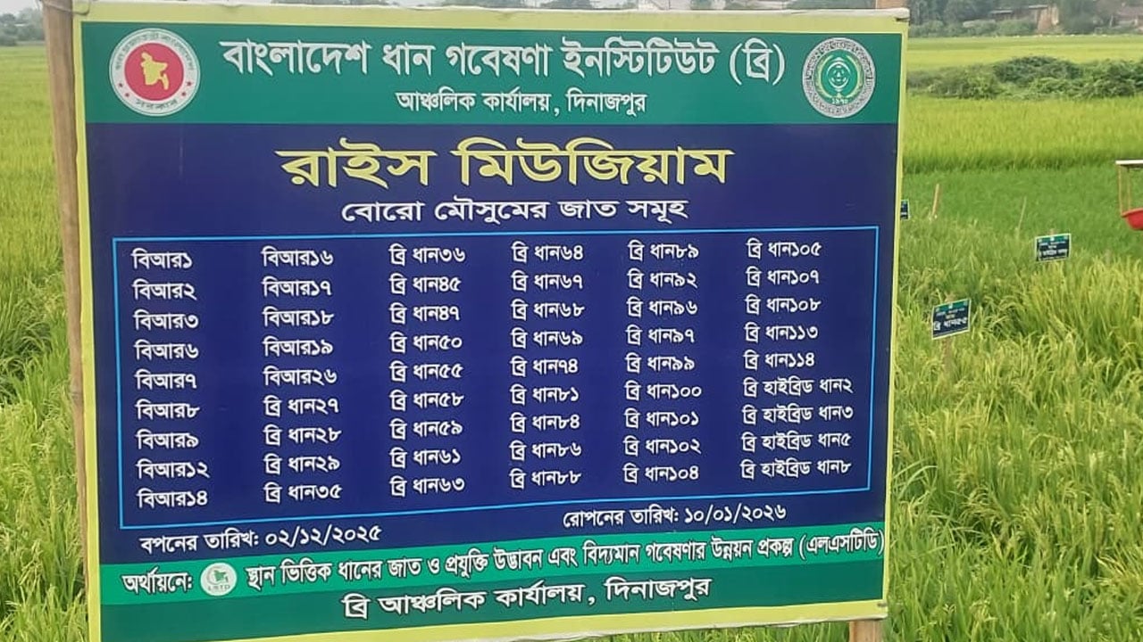 দিনাজপুরে ব্রি'র রাইস গার্ডেন স্থাপনের লক্ষ্য