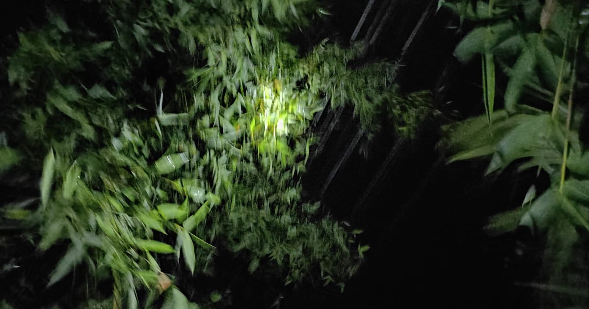 চাঁদপুরের মতলব দক্ষিণে বিদ্যুৎ সংকট