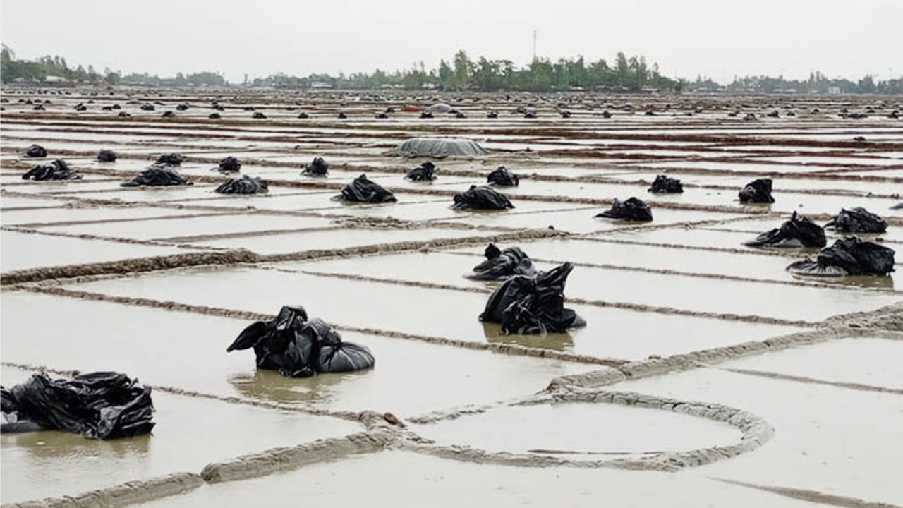 লবণ মাঠ তলিয়ে যাওয়ায় চাষীদের লোকসান