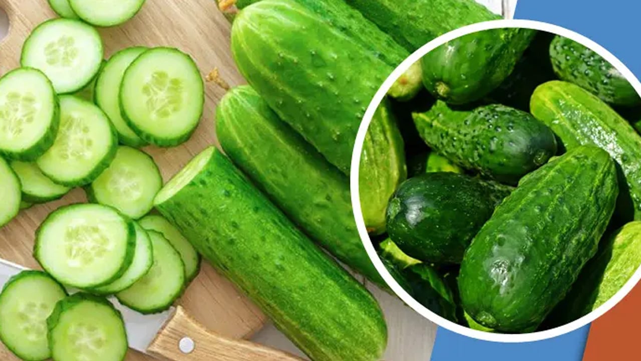 শসার খোসা ছাড়িয়ে ফেললে পুষ্টিগুণ কমে যায়?