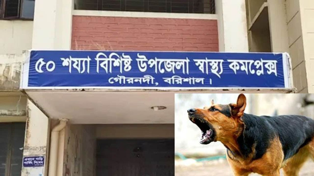 গৌরনদীতে পাগলা কুকুরের কামড়ে আহত ১৪ জন