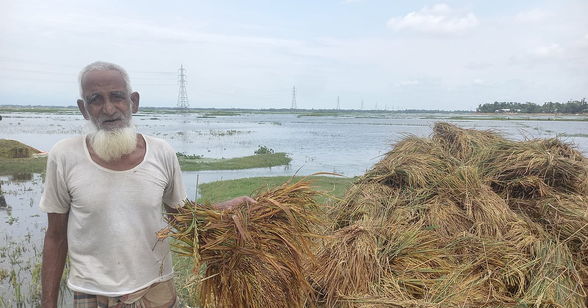 হাওরের মানুষের খুব কষ্টে যাইবে নতুন বছর