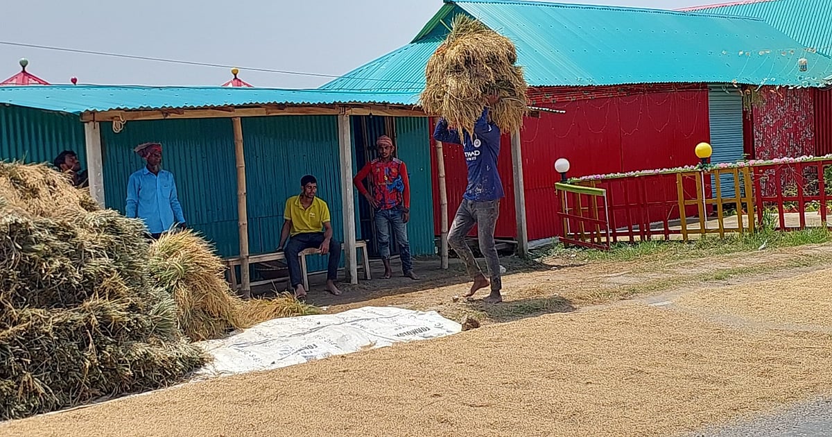 নেত্রকোনায় রোদের দেখা মিলল, কৃষকদের স্বস্তি