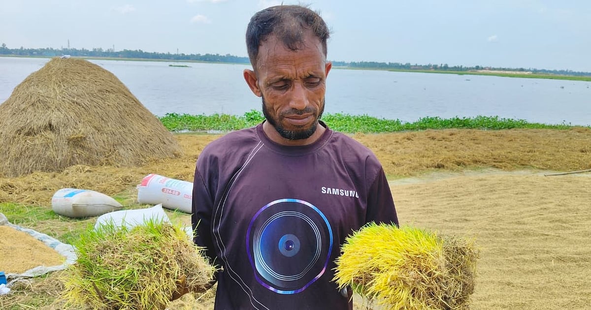 বৃষ্টির কারণে কিশোরগঞ্জের কৃষকেরা কষ্টে