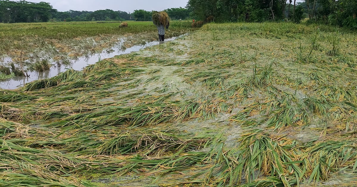 প্রথম আলোর খবর পেতে গুগল নিউজ চ্যানেল ফলো করুন