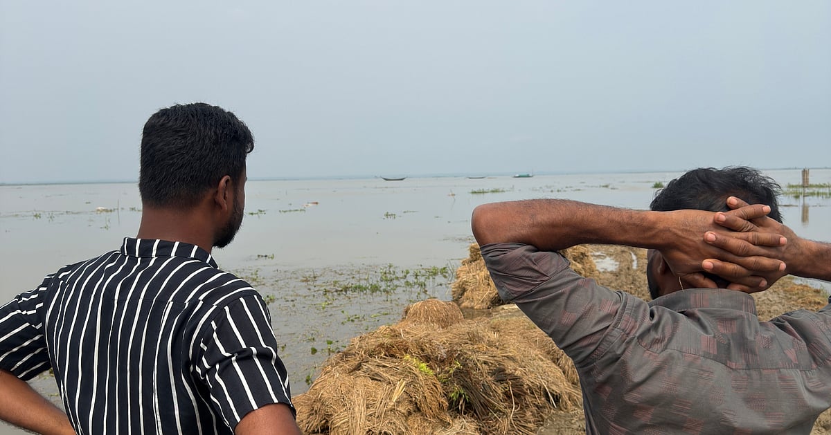 কালো ধানের স্বপ্ন ডুবে গেছে দুই বন্ধুর
